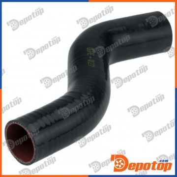 Gaine de suralimentation pour RENAULT | GPP-RE-027, 09-0085